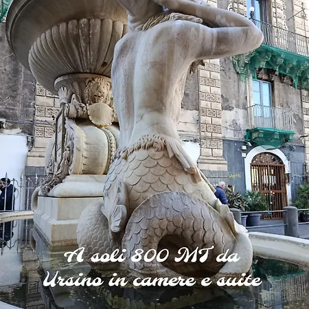 Ursino E 4*
